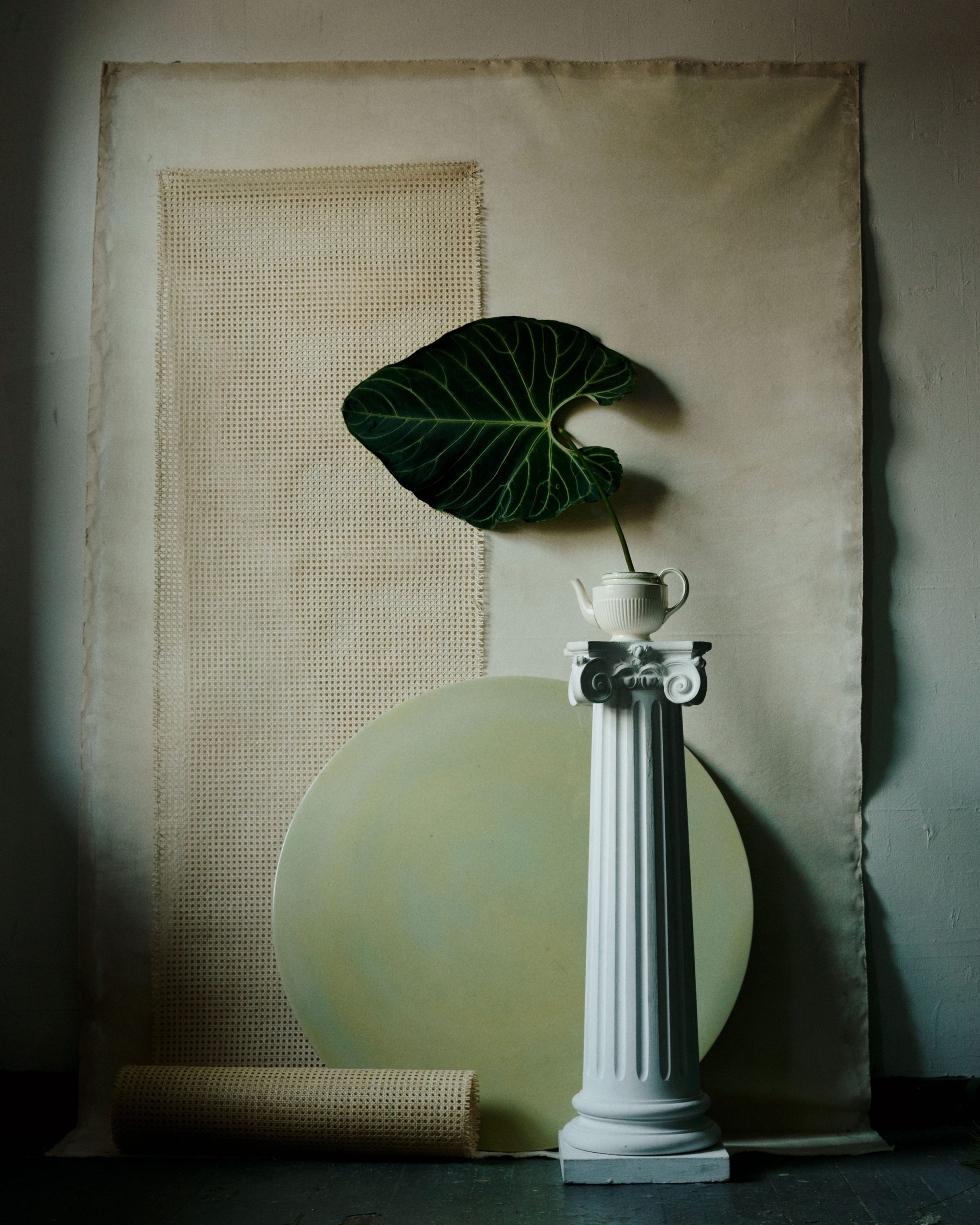 Pleasure Garden Magazine - Palm Courts