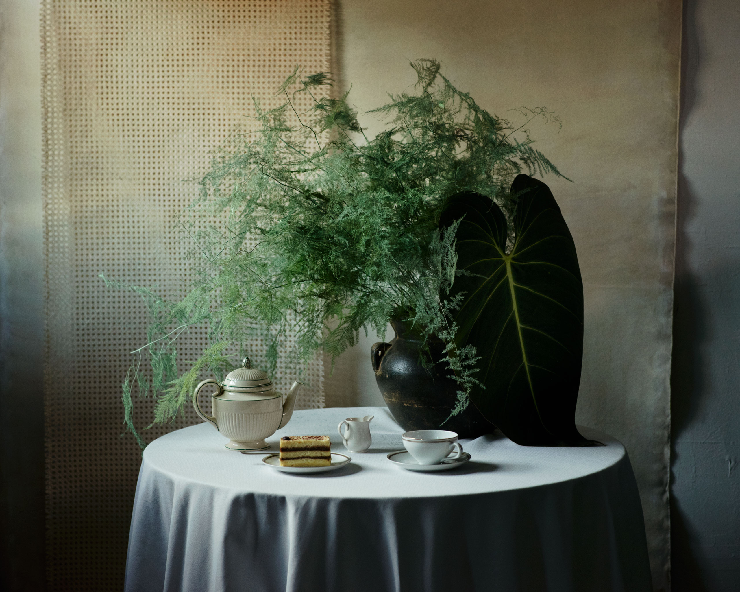 Pleasure Garden Magazine - Palm Courts