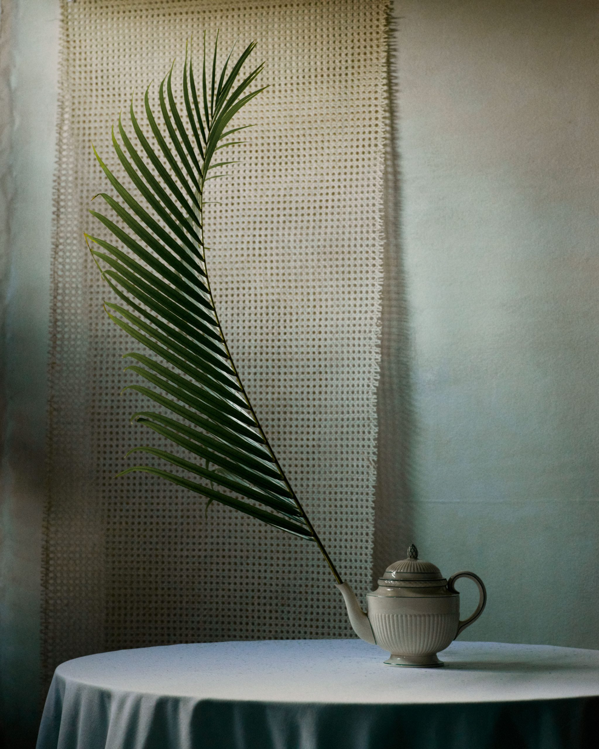 Pleasure Garden Magazine - Palm Courts