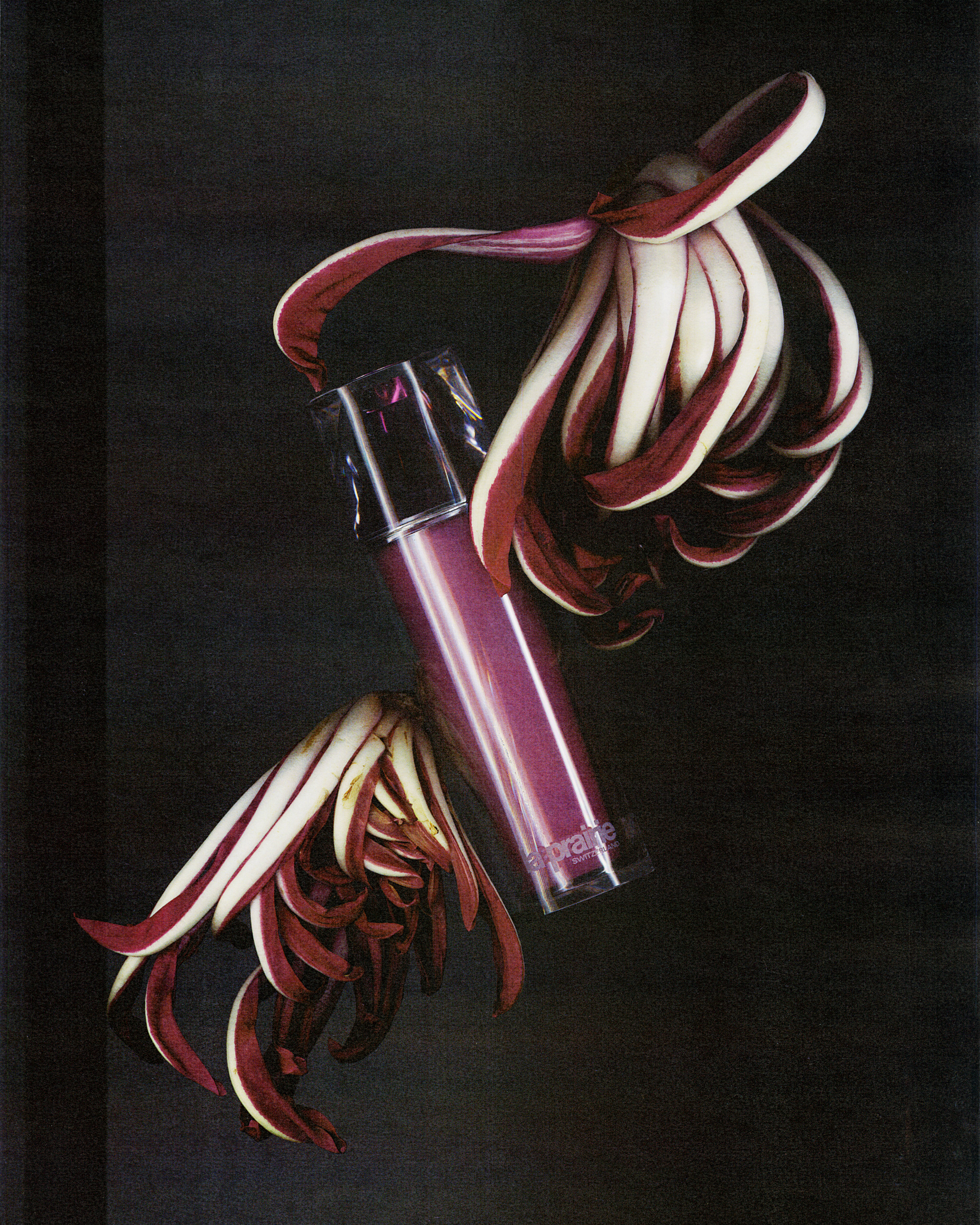 Vogue Italia - Xerox