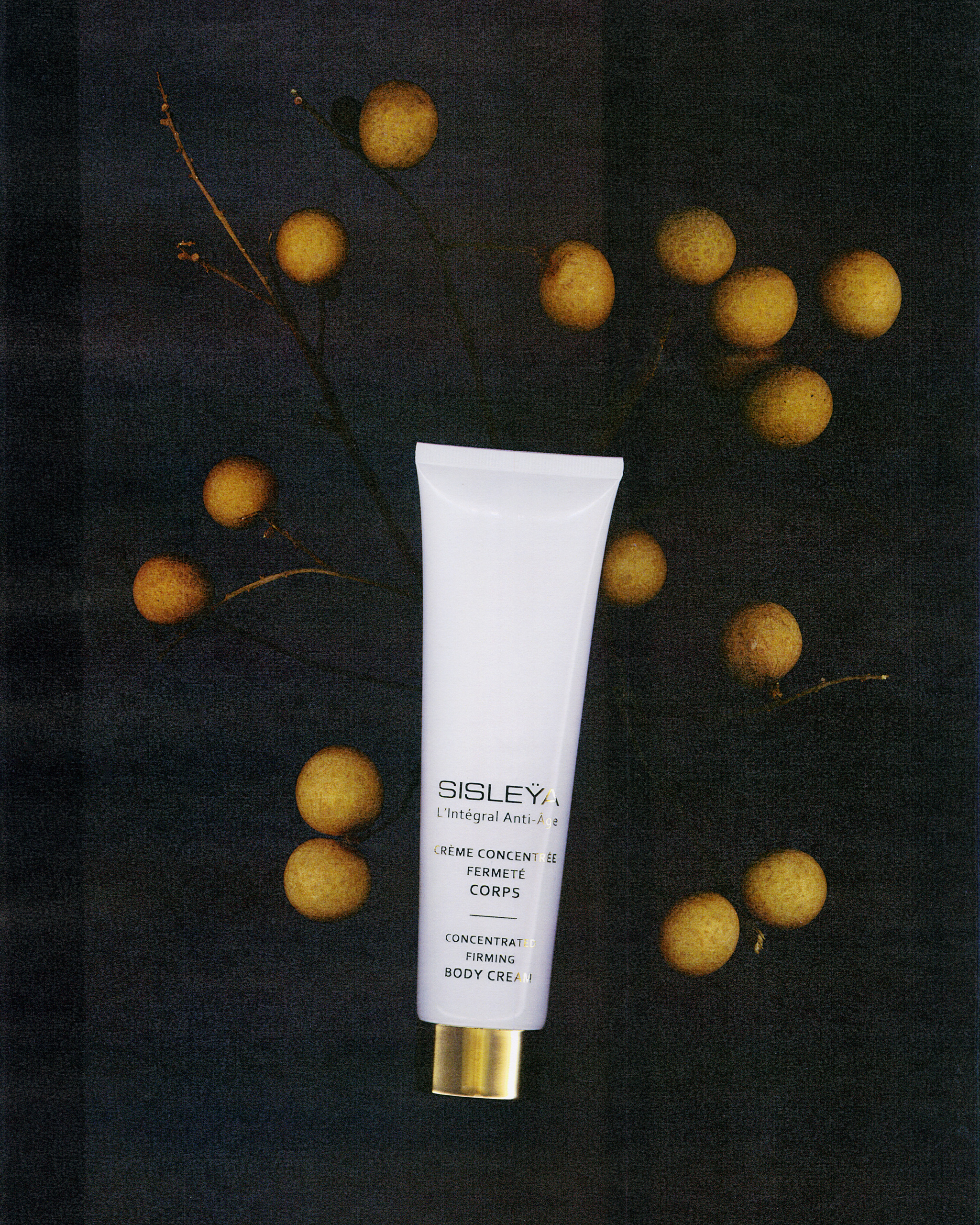 Vogue Italia - Xerox