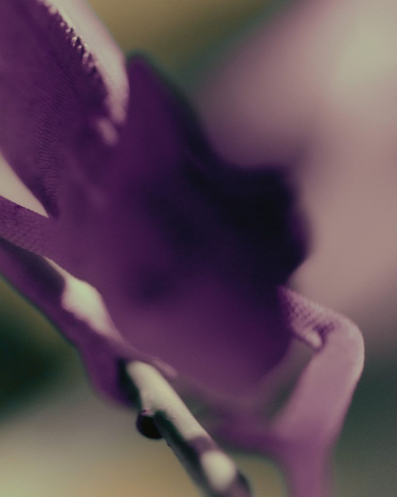 190329,AD,glassware_1016-1